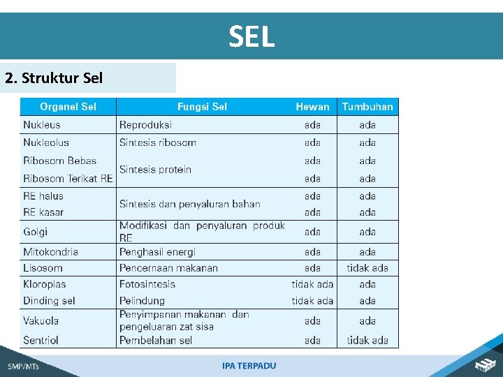 SEL 2. Struktur Sel 