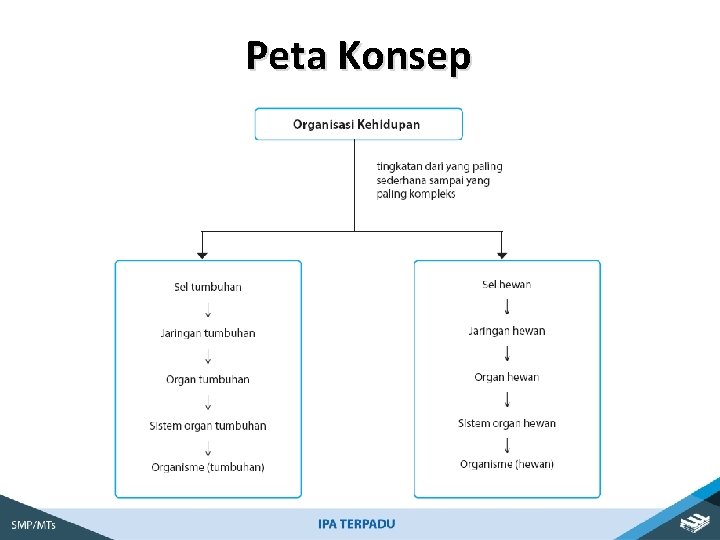 Peta Konsep 