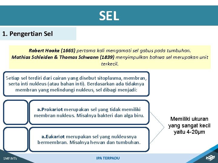 SEL 1. Pengertian Sel Robert Hooke (1665) pertama kali mengamati sel gabus pada tumbuhan.