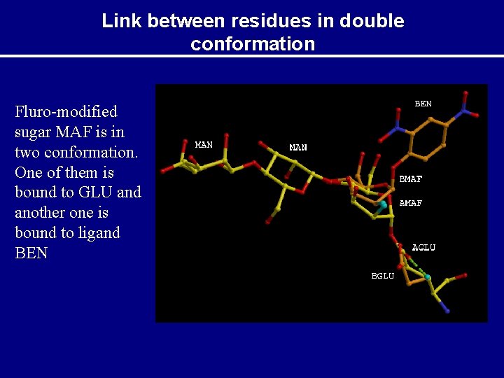 Link between residues in double conformation Fluro-modified sugar MAF is in two conformation. One
