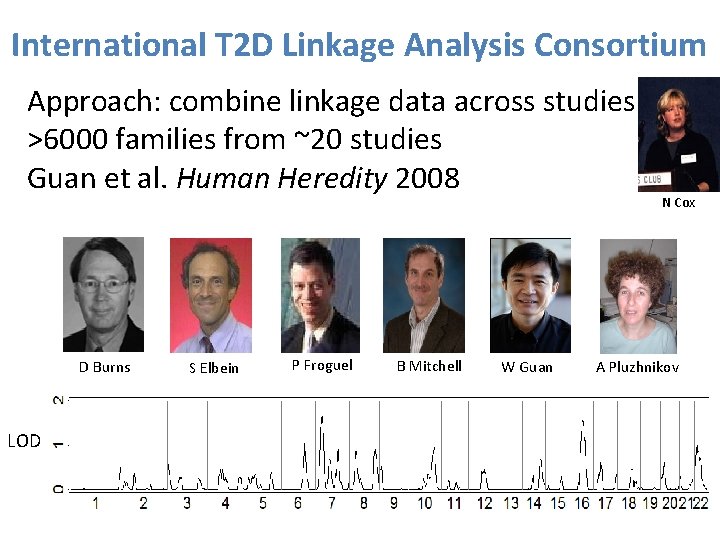 International T 2 D Linkage Analysis Consortium Approach: combine linkage data across studies >6000