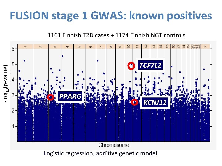 FUSION stage 1 GWAS: known positives -log 10(p-value) 1161 Finnish T 2 D cases