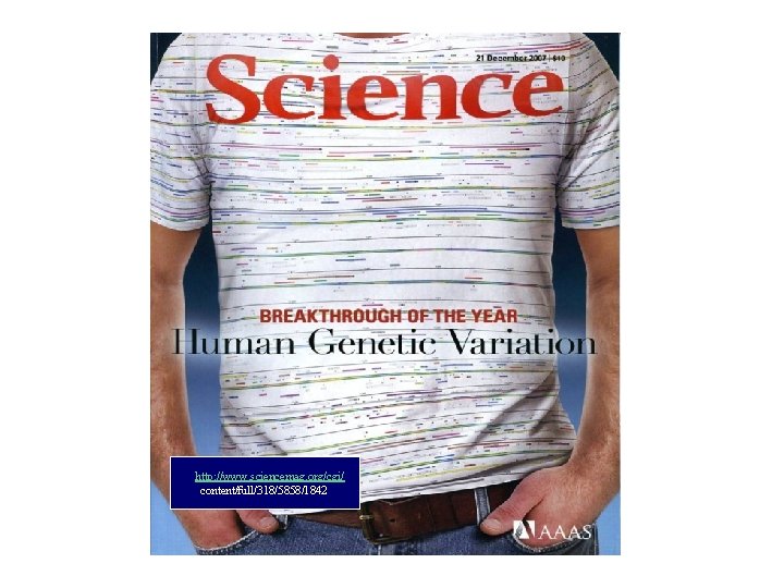 http: //www. sciencemag. org/cgi/ content/full/318/5858/1842 40 