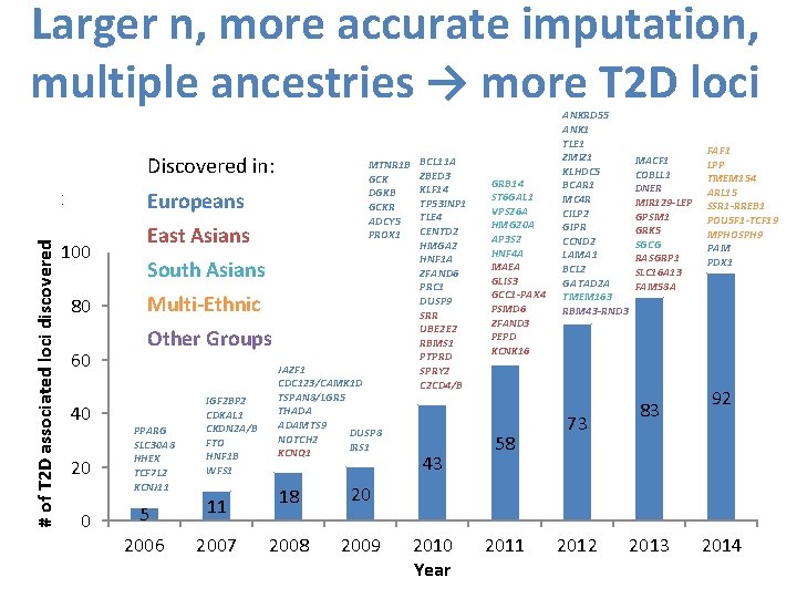 Larger n, more accurate imputation, multiple ancestries → more T 2 D loci Discovered