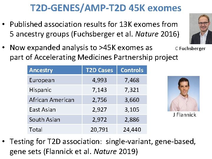 T 2 D-GENES/AMP-T 2 D 45 K exomes • Published association results for 13