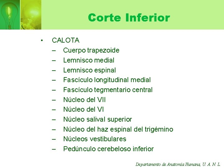 Corte Inferior • CALOTA – Cuerpo trapezoide – Lemnisco medial – Lemnisco espinal –