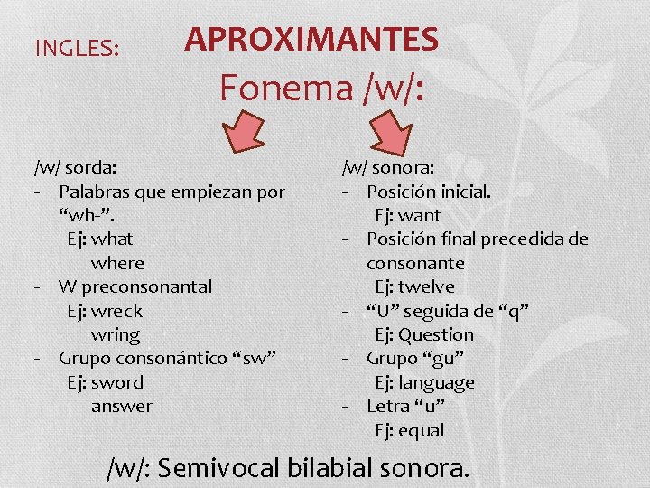 INGLES: APROXIMANTES Fonema /w/: /w/ sorda: - Palabras que empiezan por “wh-”. Ej: what INGLES: APROXIMANTES Fonema /w/: /w/ sorda: - Palabras que empiezan por “wh-”. Ej: what