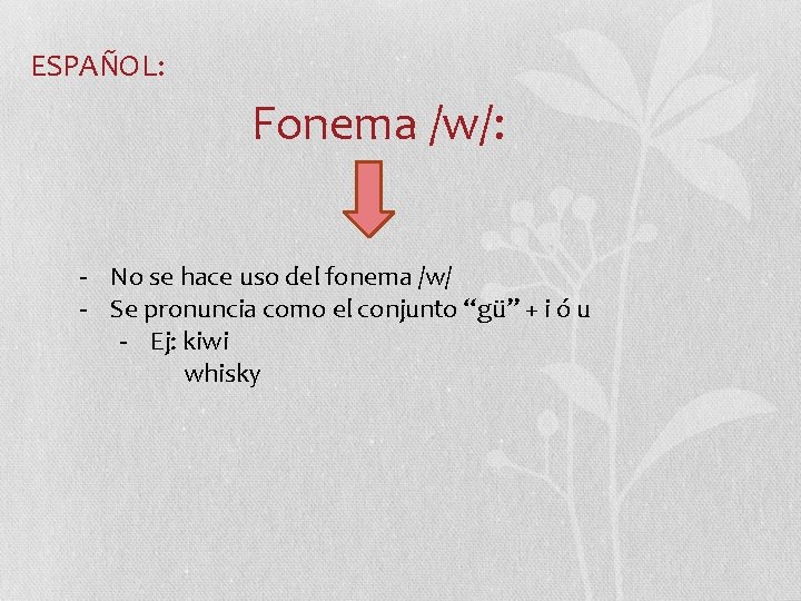 ESPAÑOL: Fonema /w/: - No se hace uso del fonema /w/ - Se pronuncia ESPAÑOL: Fonema /w/: - No se hace uso del fonema /w/ - Se pronuncia
