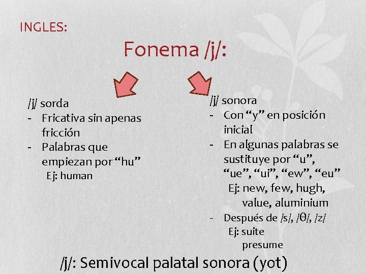 INGLES: Fonema /j/: /j/ sorda - Fricativa sin apenas fricción - Palabras que empiezan INGLES: Fonema /j/: /j/ sorda - Fricativa sin apenas fricción - Palabras que empiezan