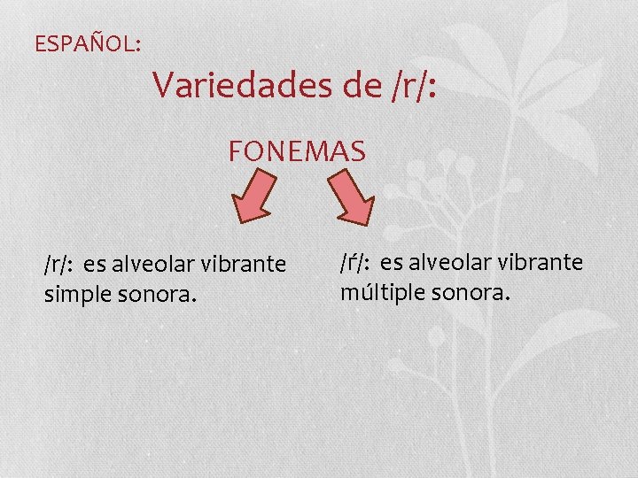 ESPAÑOL: Variedades de /r/: FONEMAS /r/: es alveolar vibrante simple sonora. /ѓ/: es alveolar ESPAÑOL: Variedades de /r/: FONEMAS /r/: es alveolar vibrante simple sonora. /ѓ/: es alveolar