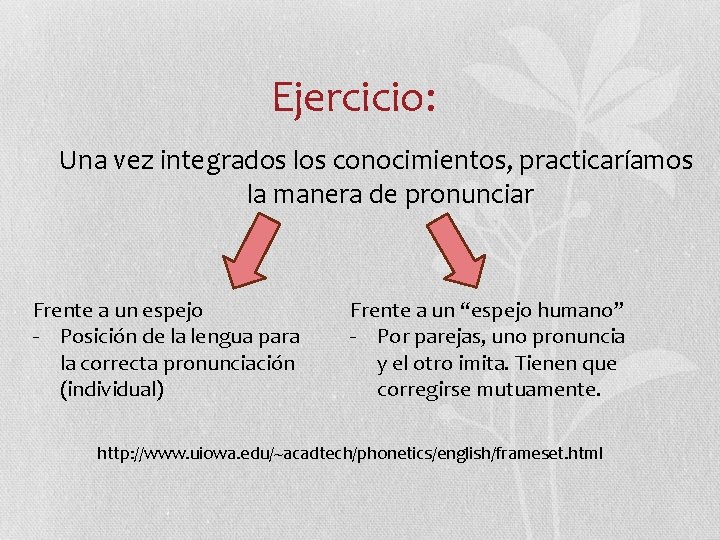 Ejercicio: Una vez integrados los conocimientos, practicaríamos la manera de pronunciar Frente a un Ejercicio: Una vez integrados los conocimientos, practicaríamos la manera de pronunciar Frente a un