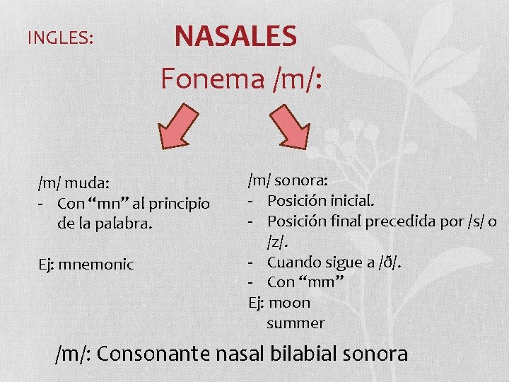 INGLES: NASALES Fonema /m/: /m/ muda: - Con “mn” al principio de la palabra. INGLES: NASALES Fonema /m/: /m/ muda: - Con “mn” al principio de la palabra.