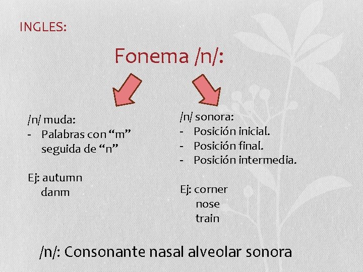 INGLES: Fonema /n/: /n/ muda: - Palabras con “m” seguida de “n” Ej: autumn INGLES: Fonema /n/: /n/ muda: - Palabras con “m” seguida de “n” Ej: autumn