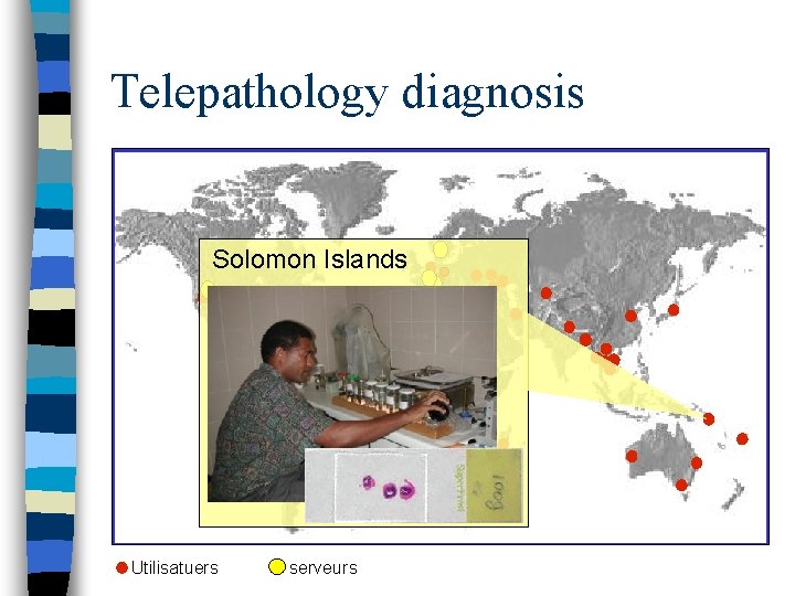 Telepathology diagnosis Solomon Islands Utilisatuers serveurs 