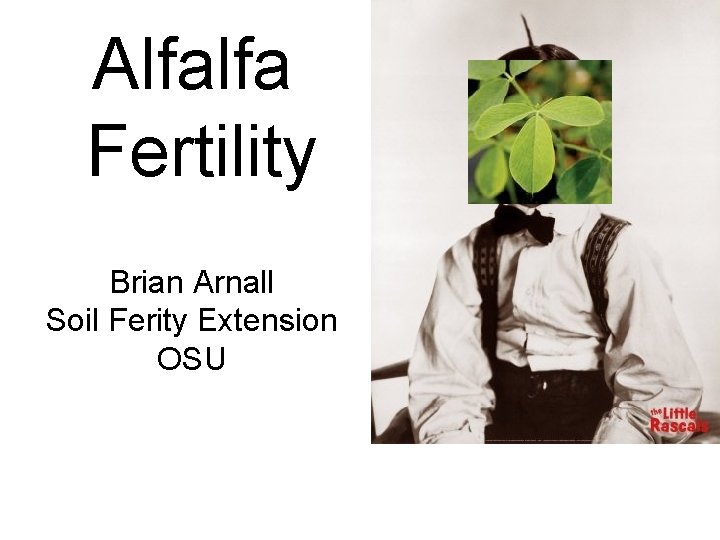 Alfalfa Fertility Brian Arnall Soil Ferity Extension OSU 