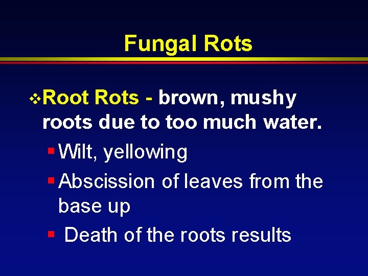 Fungal Rots v. Root Rots - brown, mushy roots due to too much water.