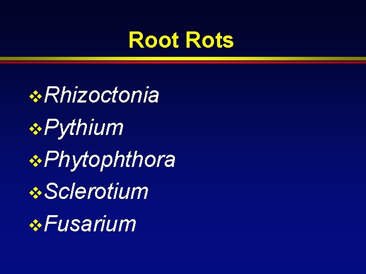 Root Rots v. Rhizoctonia v. Pythium v. Phytophthora v. Sclerotium v. Fusarium 