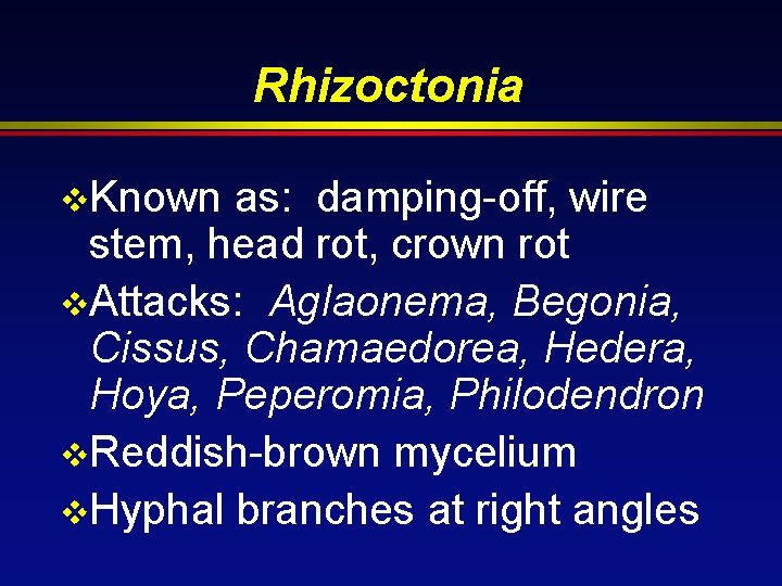 Rhizoctonia v. Known as: damping-off, wire stem, head rot, crown rot v. Attacks: Aglaonema,