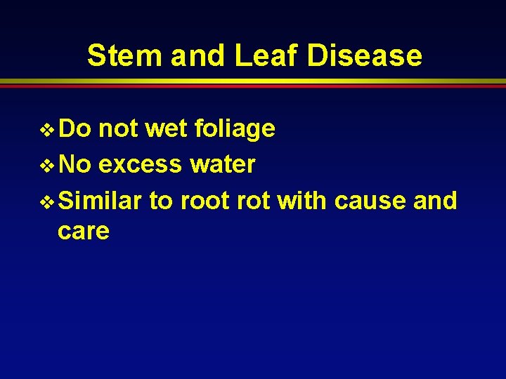 Stem and Leaf Disease v Do not wet foliage v No excess water v