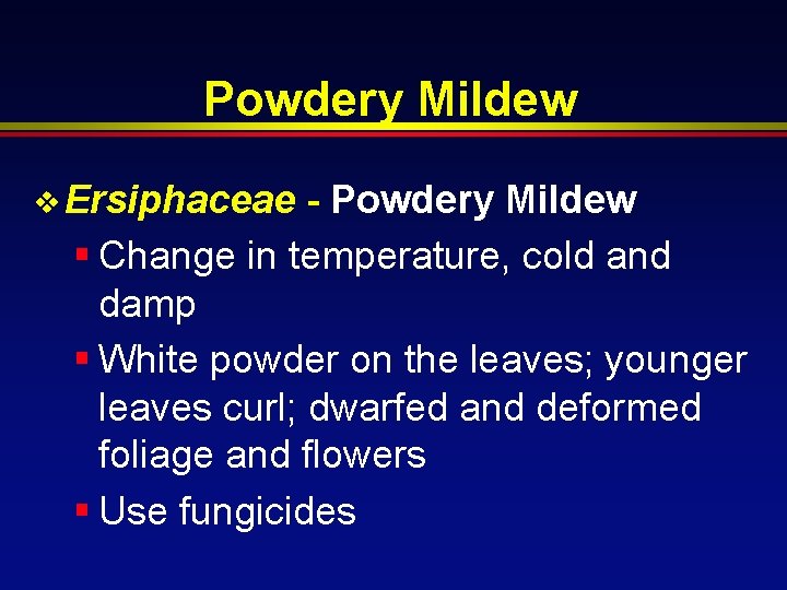 Powdery Mildew v Ersiphaceae - Powdery Mildew § Change in temperature, cold and damp