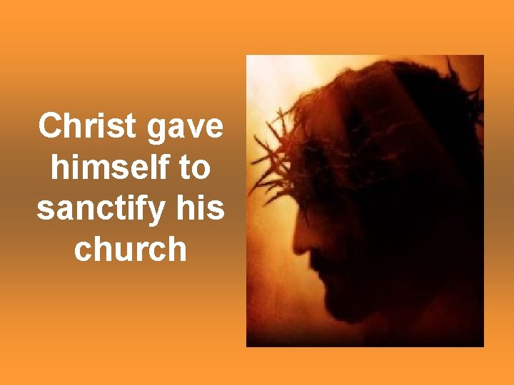 Christ gave himself to sanctify his church 