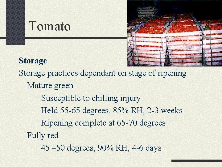 Tomato Storage practices dependant on stage of ripening Mature green Susceptible to chilling injury