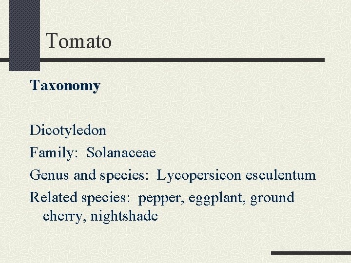 Tomato Taxonomy Dicotyledon Family: Solanaceae Genus and species: Lycopersicon esculentum Related species: pepper, eggplant,