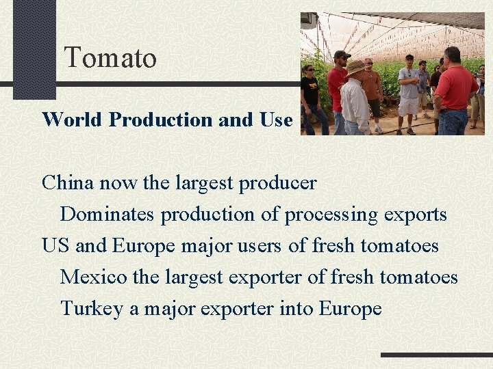 Tomato World Production and Use China now the largest producer Dominates production of processing