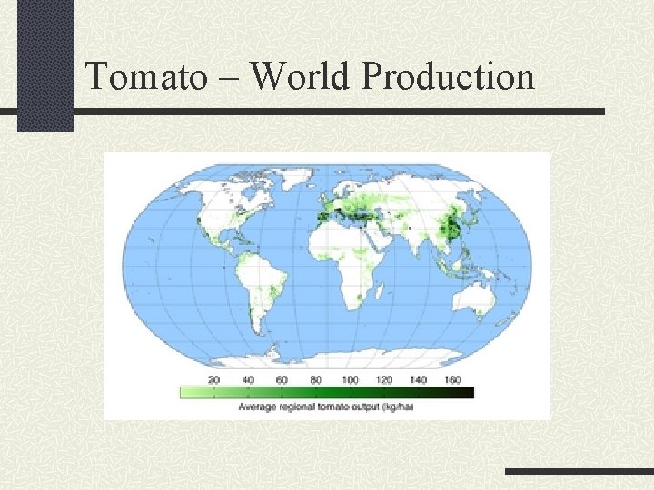 Tomato – World Production 