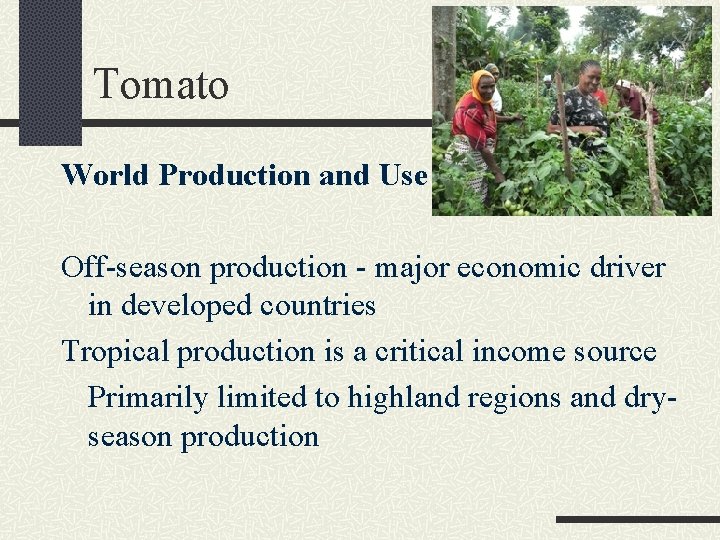 Tomato World Production and Use Off-season production - major economic driver in developed countries
