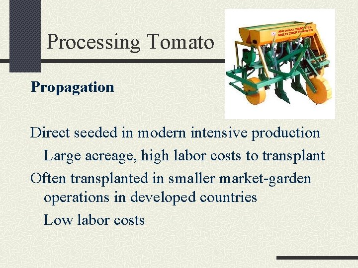 Processing Tomato Propagation Direct seeded in modern intensive production Large acreage, high labor costs