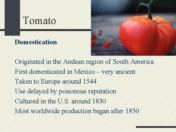 Tomato Domestication Originated in the Andean region of South America First domesticated in Mexico