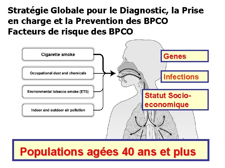 Stratégie Globale pour le Diagnostic, la Prise en charge et la Prevention des BPCO