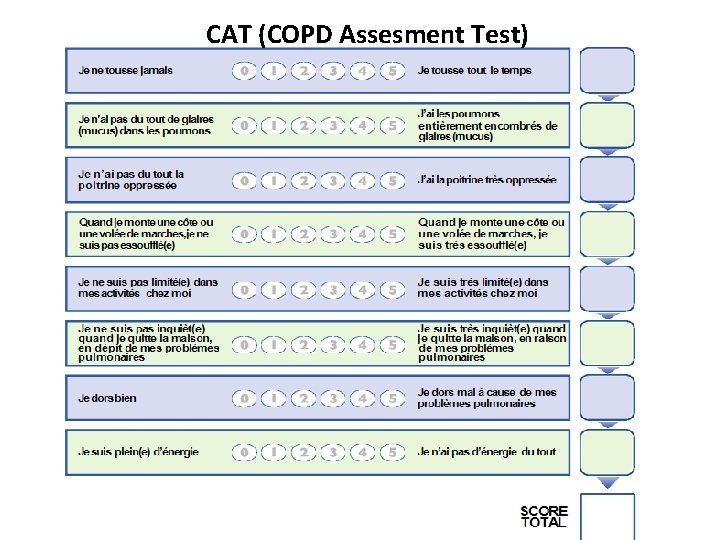 CAT (COPD Assesment Test) 