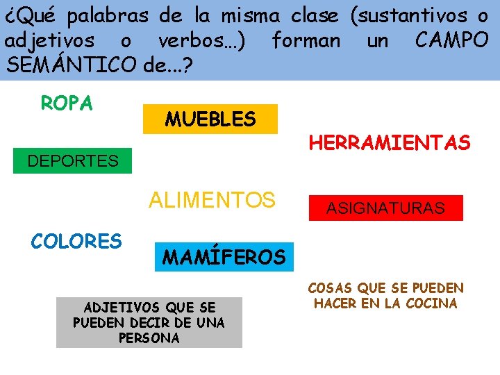 ¿Qué palabras de la misma clase (sustantivos o adjetivos o verbos…) forman un CAMPO