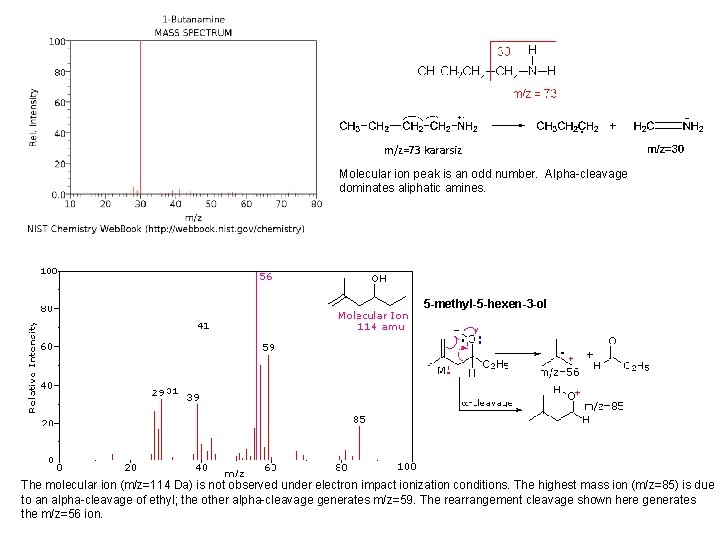 m/z=73 kararsiz Molecular ion peak is an odd number. Alpha-cleavage dominates aliphatic amines. 5 m/z=73 kararsiz Molecular ion peak is an odd number. Alpha-cleavage dominates aliphatic amines. 5