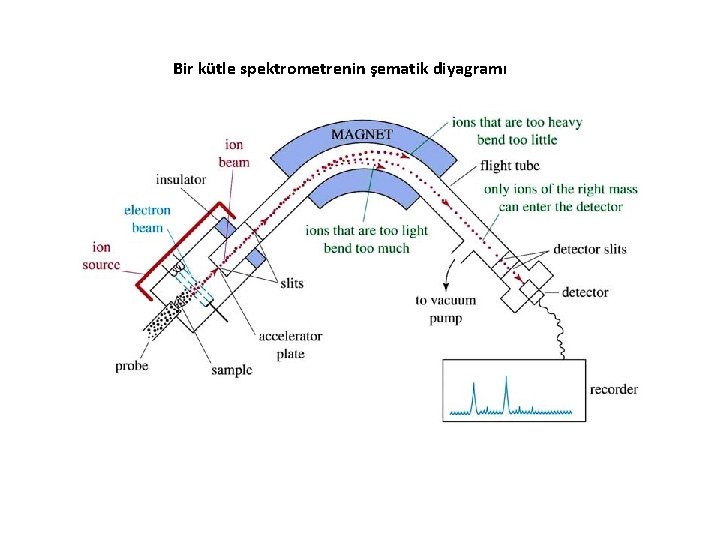 Bir kütle spektrometrenin şematik diyagramı Bir kütle spektrometrenin şematik diyagramı