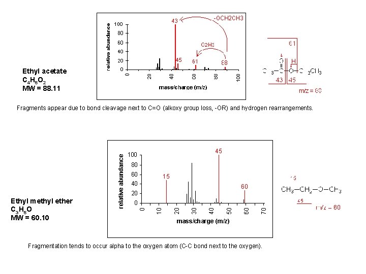 Ethyl acetate C 4 H 8 O 2 MW = 88. 11 Fragments appear Ethyl acetate C 4 H 8 O 2 MW = 88. 11 Fragments appear