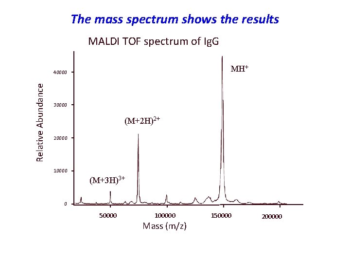 The mass spectrum shows the results MALDI TOF spectrum of Ig. G MH+ Relative The mass spectrum shows the results MALDI TOF spectrum of Ig. G MH+ Relative