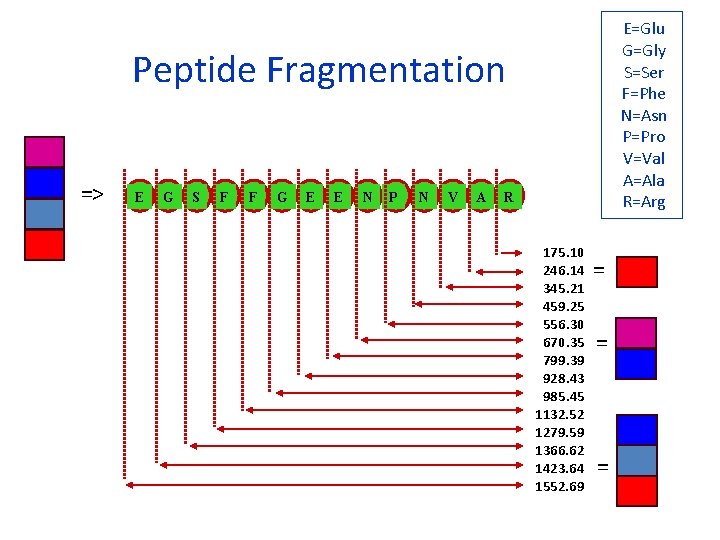 E=Glu G=Gly S=Ser F=Phe N=Asn P=Pro V=Val A=Ala R=Arg Peptide Fragmentation => E G E=Glu G=Gly S=Ser F=Phe N=Asn P=Pro V=Val A=Ala R=Arg Peptide Fragmentation => E G