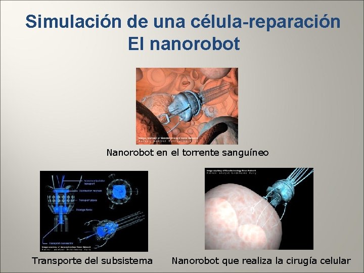 Simulación de una célula-reparación El nanorobot Nanorobot en el torrente sanguíneo Transporte del subsistema