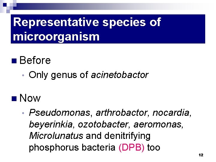 Representative species of microorganism n Before • Only genus of acinetobactor n Now •