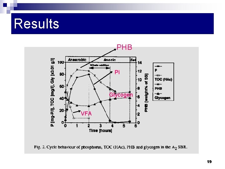 Results PHB Pi Glycogen VFA 19 