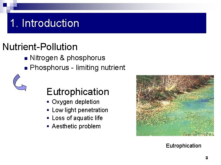 1. Introduction Nutrient-Pollution Nitrogen & phosphorus n Phosphorus - limiting nutrient n Eutrophication §