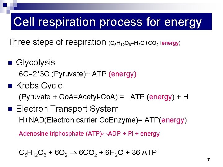 Cell respiration process for energy Three steps of respiration (C 6 H 12 O