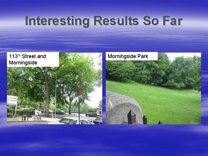 Interesting Results So Far 113 th Street and Morningside Park 
