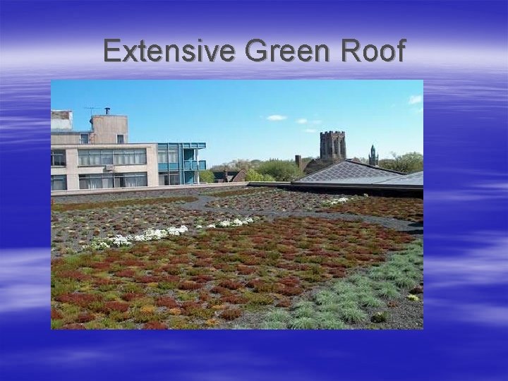 Extensive Green Roof 