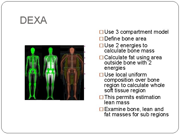 DEXA � Use 3 compartment model � Define bone area � Use 2 energies