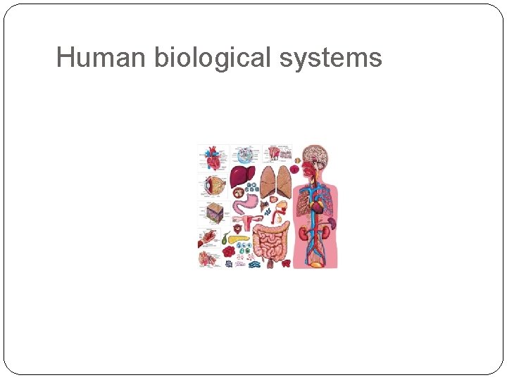 Human biological systems 