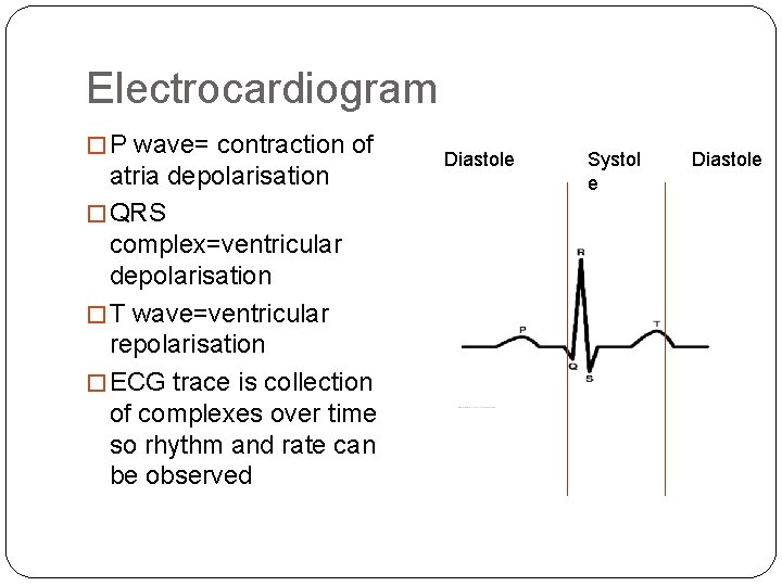 Electrocardiogram � P wave= contraction of atria depolarisation � QRS complex=ventricular depolarisation � T